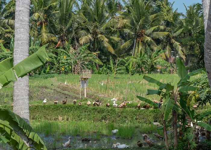 Surga - Heavenly 4br Private Pool Retreat In *